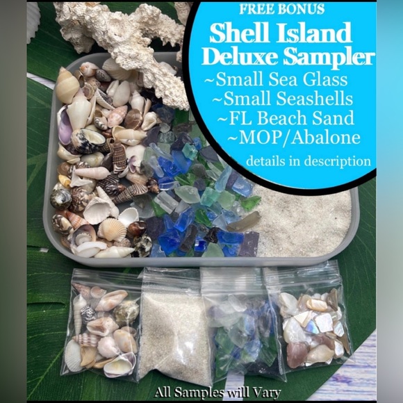 NEW 2pc SEASHELL SILICONE MOLDS SET W 2 BONUS GIFT PACKS RESIN DIY SHELL CRAFT - Picture 4 of 13